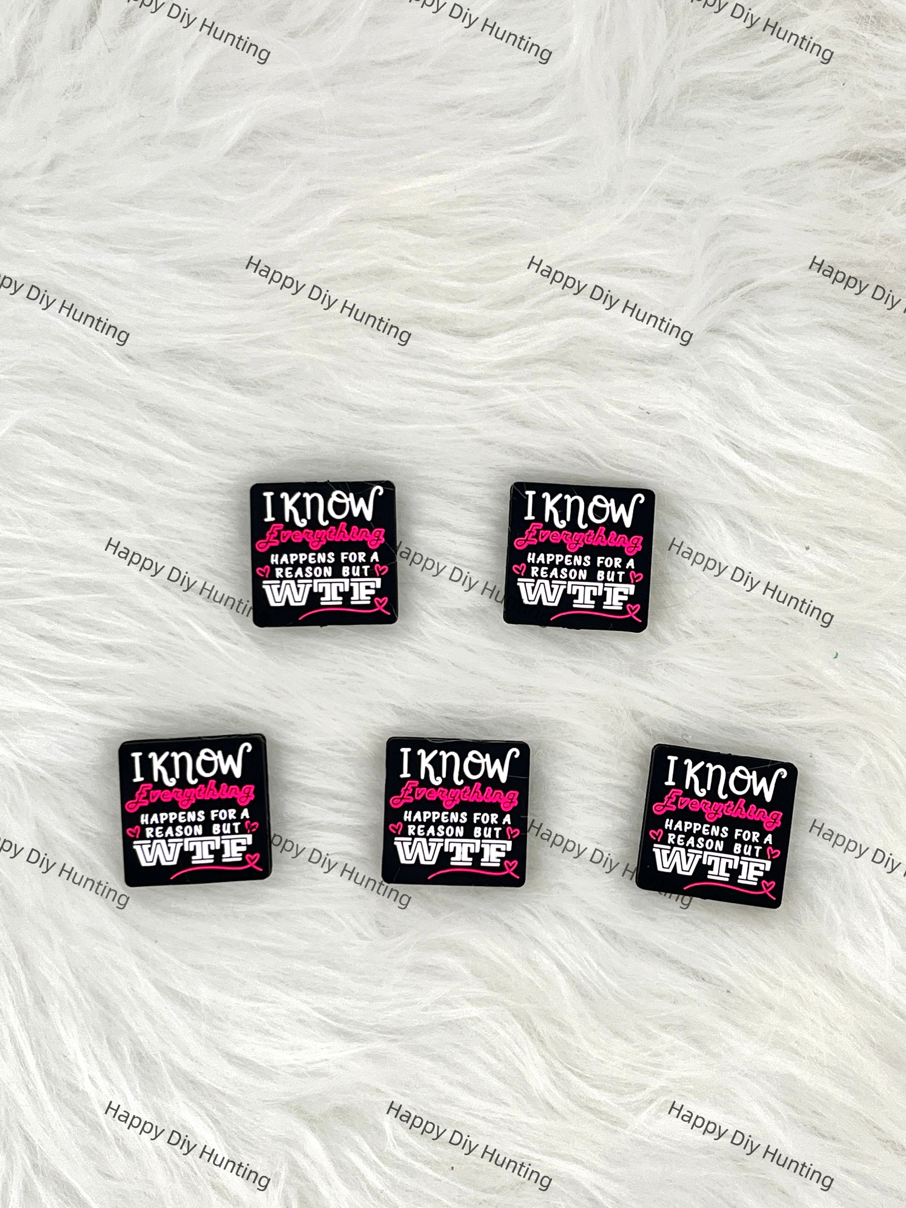 I Know Everything Happens For A Reason But WTF Silicone Focal Bead